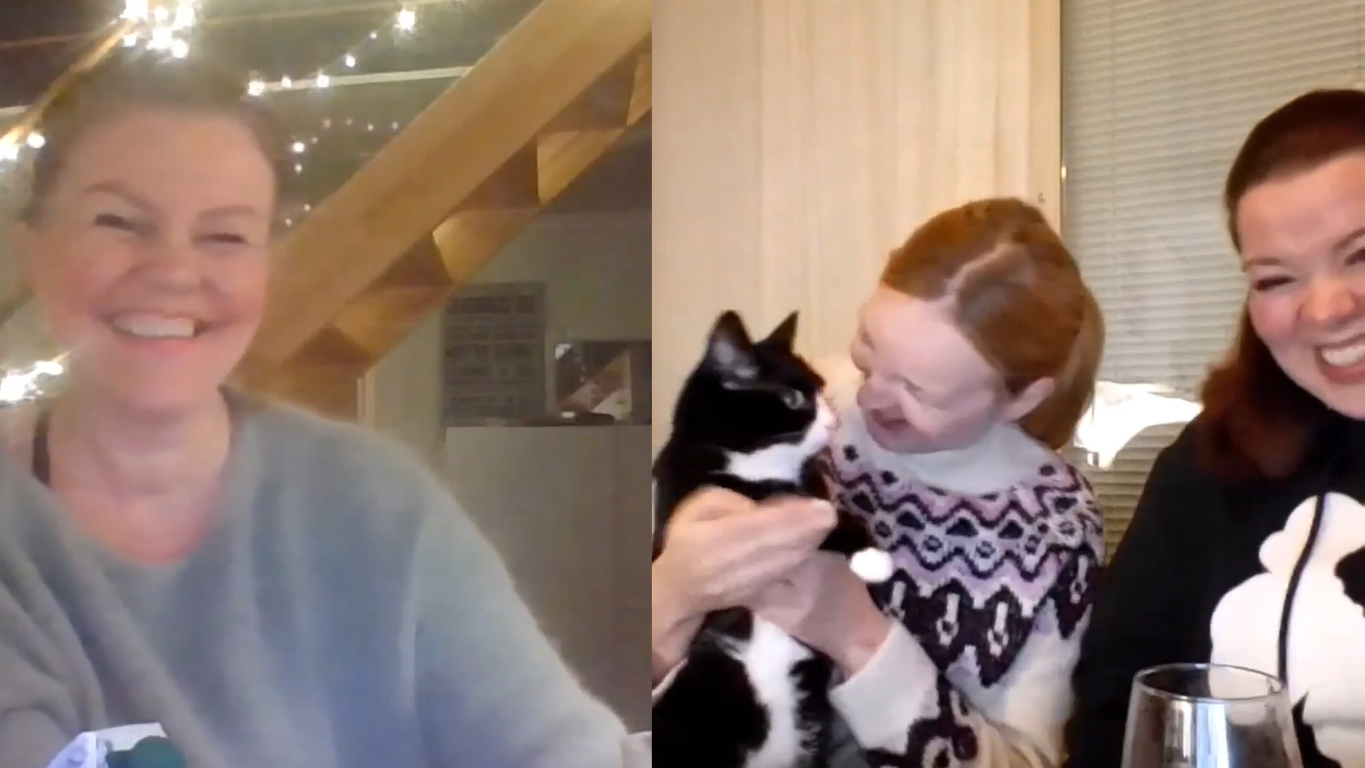 TerveysSummit livessä keskusteltiin Karin Havupuu-uutejuoman käytöstä eläimille